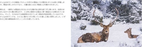 画像9: 腕時計 オリス ORIS ビッグクラウン ポインターデイト 機械式自動巻 メンズ ビッグクラウンｘチェルボボランテ 01 754 7779 4065-Set 38mm 正規品 (9)