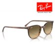 画像4: RayBan レイバン エリオット Elliot サングラス メガネフレーム 54□19 ブラウン RB2197F 13920A クロス付き レイバン純正メガネケース付き 国内正規品 (4)