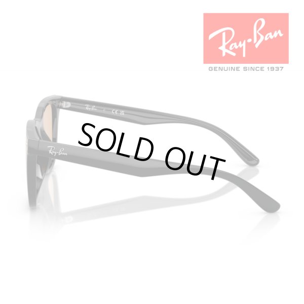 画像2: RayBan レイバン サングラス メガネフレーム 65□18 ブラック ブラウン RB4391D 601/93 クロス付き レイバン純正メガネケース付き 国内正規品 (2)