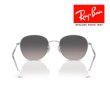 画像3: RayBan レイバン サングラス メガネフレーム 53□20 シルバー グレー RB3809 003/M3 偏光レンズ クロス付き レイバン純正メガネケース付き 国内正規品 (3)