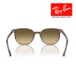 画像3: RayBan レイバン エリオット Elliot サングラス メガネフレーム 54□19 ブラウン RB2197F 13920A クロス付き レイバン純正メガネケース付き 国内正規品 (3)