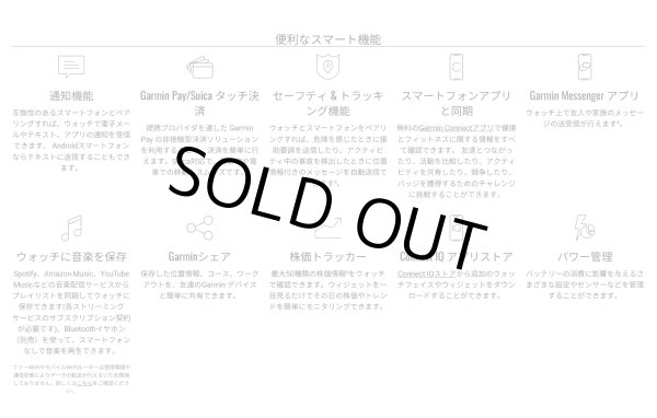 画像9: GARMIN ガーミン fenix E 47mm フェニックス E 010-03025-12 フラッグシップGPSウォッチ スマートウォッチ 健康管理 ランニング 正規輸入品 (9)