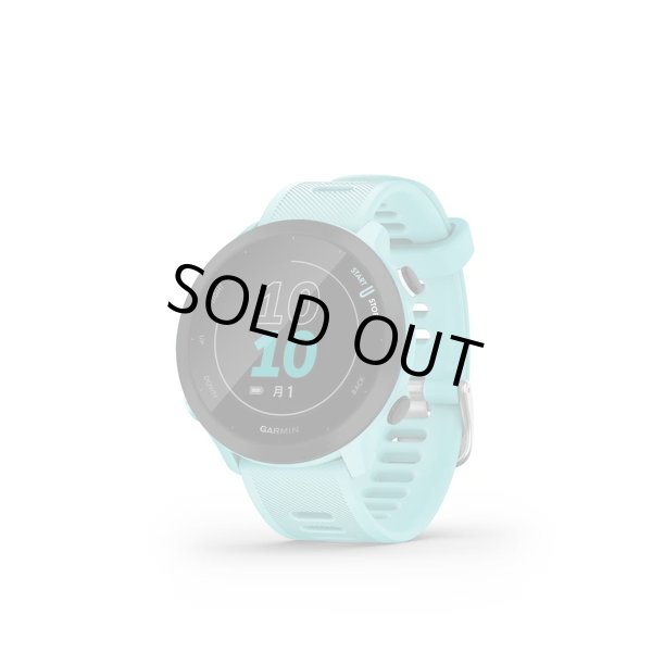 画像2: GARMIN ガーミン ForeAthlete 55 Aqua エントリー向けGPSランニングウォッチ 010-02562-42 スマートウォッチ ランニング 健康管理 正規輸入品 (2)