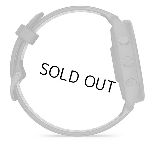 画像4: GARMIN ガーミン Forerunner 265 ランニングウォッチ 010-02810-40 スマートウォッチ ランニング 健康管理 AMOLED 音楽再生 正規輸入品 (4)