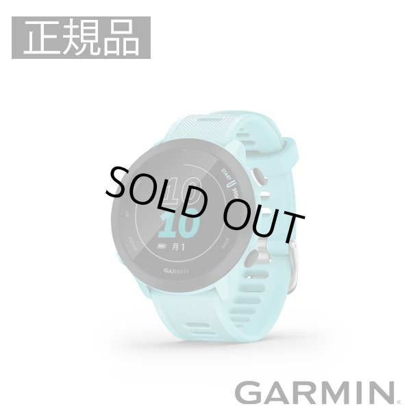 画像1: GARMIN ガーミン ForeAthlete 55 Aqua エントリー向けGPSランニングウォッチ 010-02562-42 スマートウォッチ ランニング 健康管理 正規輸入品 (1)
