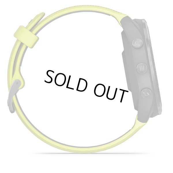 画像4: GARMIN ガーミン Forerunner 965 フラッグシップランニングウォッチ スマートウォッチ 健康管理 ランニング AMOLED 010-02809-62 正規輸入品 (4)