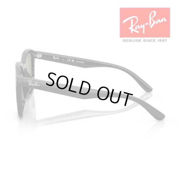 画像2: RayBan レイバン サングラス メガネフレーム 66□17 ブラック ブラウン RB4392D 601/9A クロス付き レイバン純正メガネケース付き 国内正規品 (2)