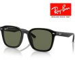 画像1: RayBan レイバン サングラス メガネフレーム 66□17 ブラック ブラウン RB4392D 601/9A クロス付き レイバン純正メガネケース付き 国内正規品 (1)