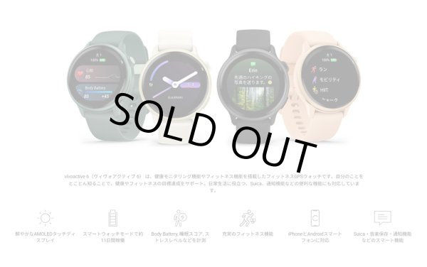 画像9: GARMIN ガーミン vívoactive 6 フィットネスGPSウォッチ 010-02985-30 スマートウォッチ フィットネス 健康管理 正規輸入品 (9)