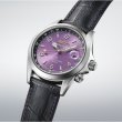 画像2: HBC006J 腕時計 セイコー SEIKO プロスペックス メカニカル 自動巻き メンズ アルピニスト セイコー創業145周年記念 限定モデル コアショップモデル 正規品 (2)
