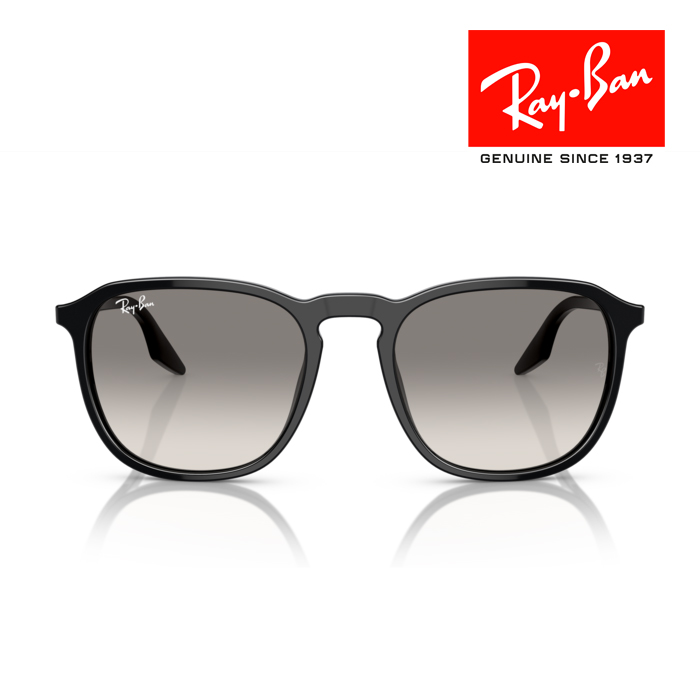 ケース付き RayBan レイバン サングラス 眼鏡 めがね